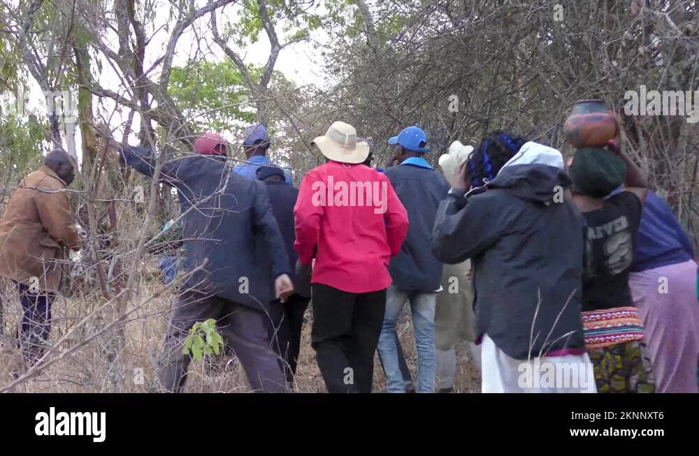 Traditional African Funeral, Zimbabwe Kurova Guva Part 6 Stock Video