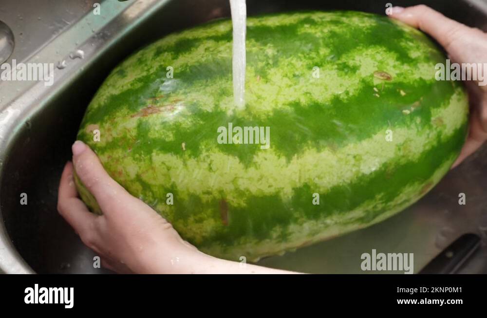 Washing whole watermelon in metal sink Stock Video Footage Alamy