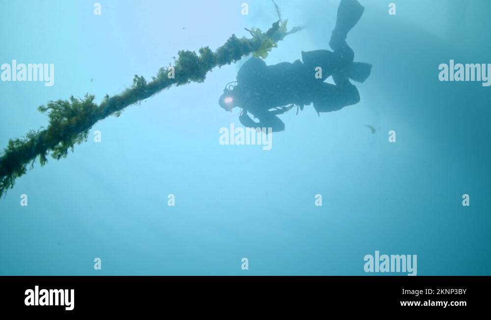 Scuba diver descending from dive boat with bubbles and negative