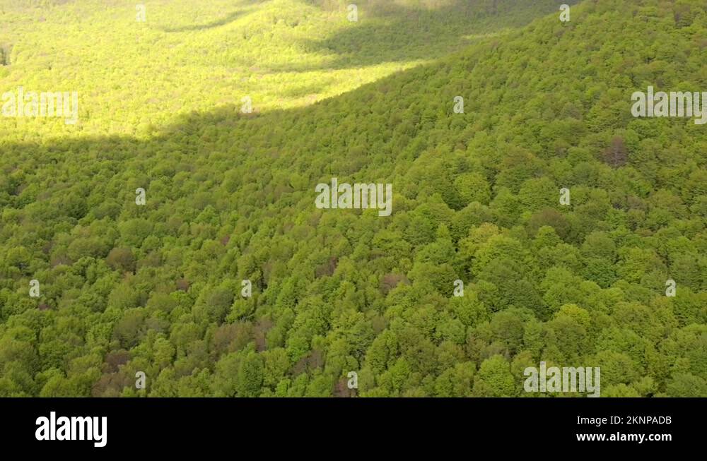 Prato Italia Stock Videos Footage Hd And 4k Video Clips Alamy