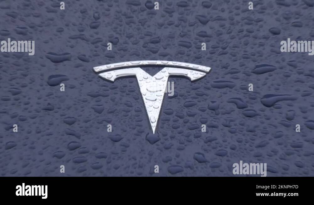 two electric vehicle brands on display parked at charging station in