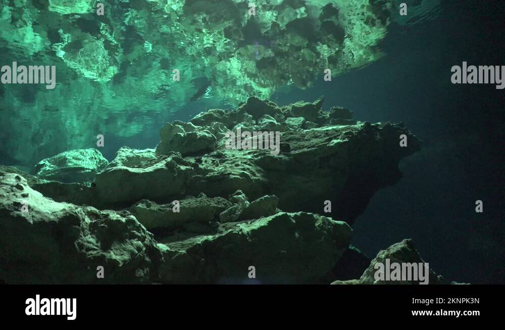 Cenote mexico yucatan Stock Videos & Footage - HD and 4K Video Clips ...