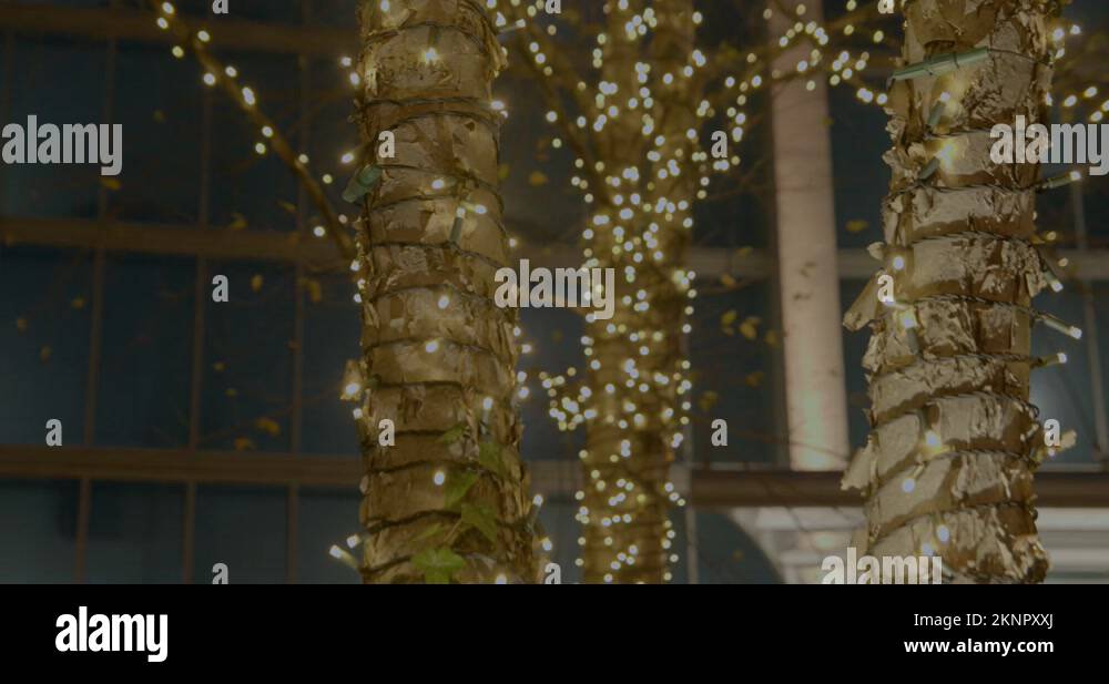 Trees wrapped in Christmas lights in a hotel courtyard in Buckhead