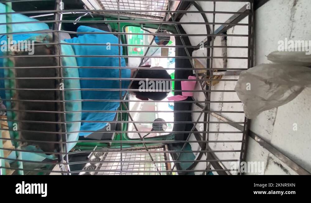 Vertical video of the railings inside the auto rickshaw dividing the ...