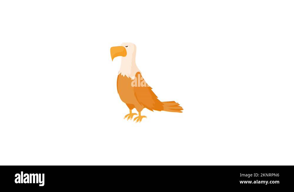 Bald eagle cartoon icon Stock Videos & Footage - HD and 4K Video Clips