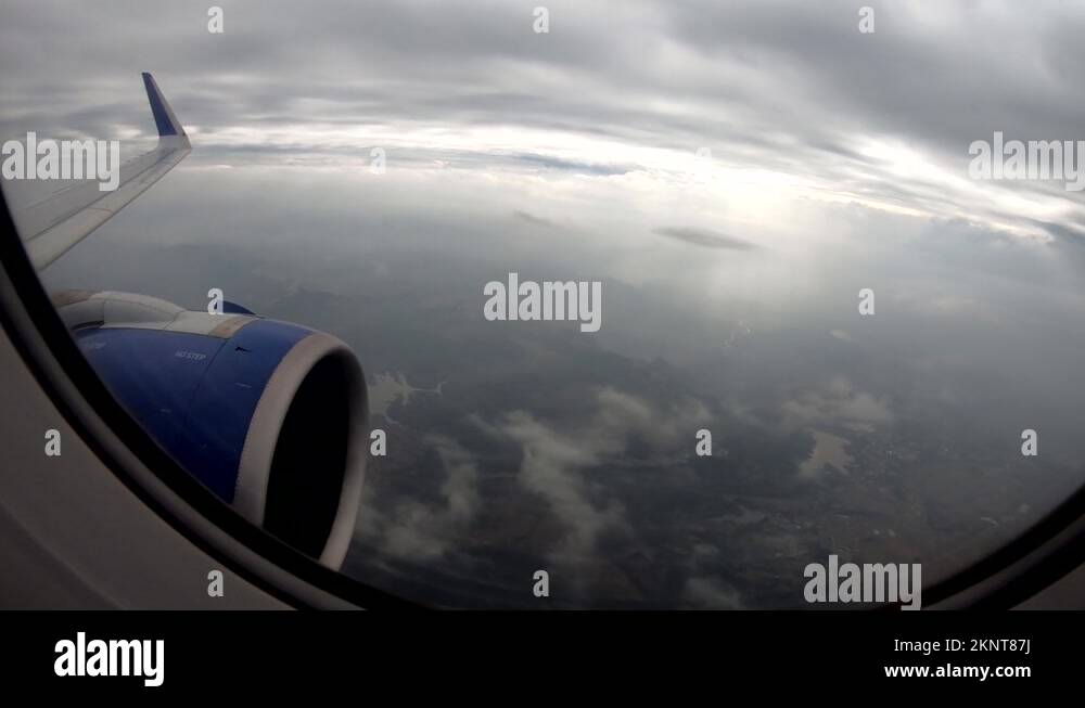 plain white air forces