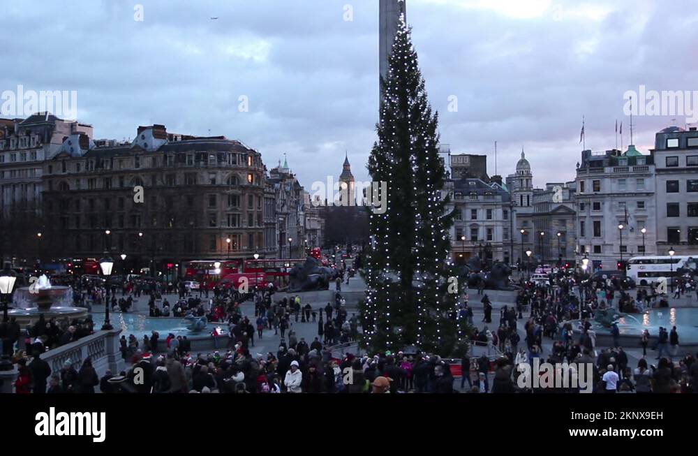 Trafalgar square christmas tree Stock Videos & Footage HD and 4K