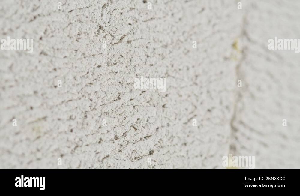 Brick wall white texture textured surface