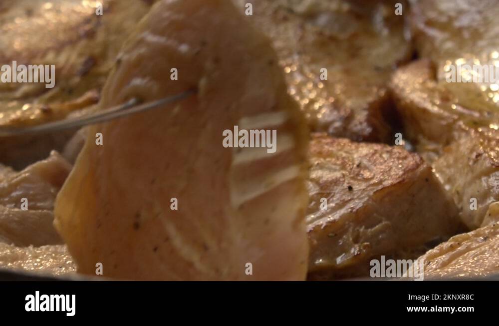 Pirarucu fish Stock Videos & Footage - HD and 4K Video Clips - Alamy