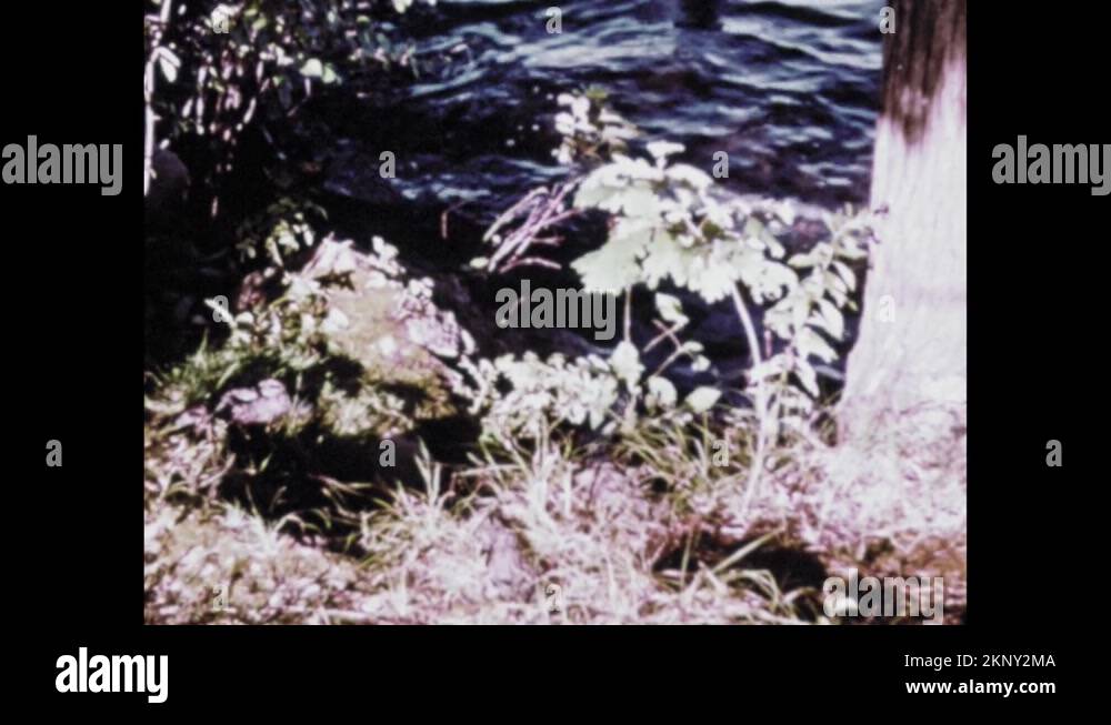 1960s Balls roll into water. Balls splash in water. Balls bounce