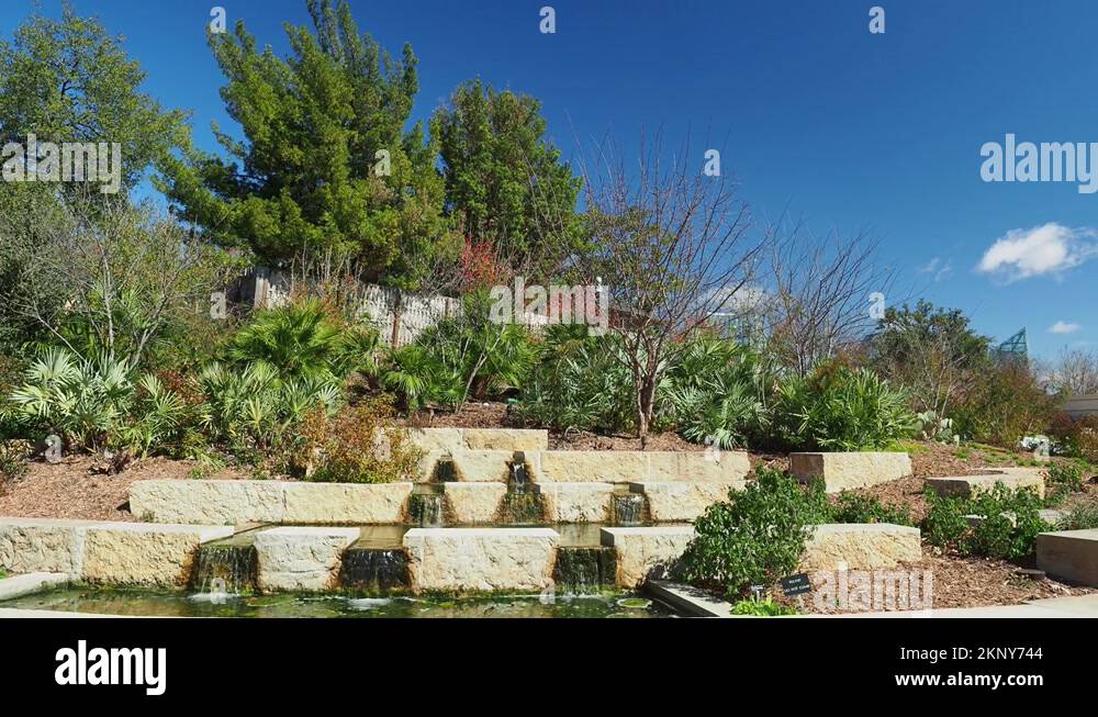 San antonio botanical garden Stock Videos & Footage - HD and 4K Video ...