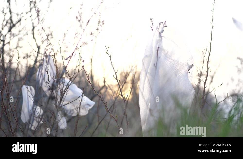 Plastic grocery bags litter Stock Videos & Footage HD and 4K Video