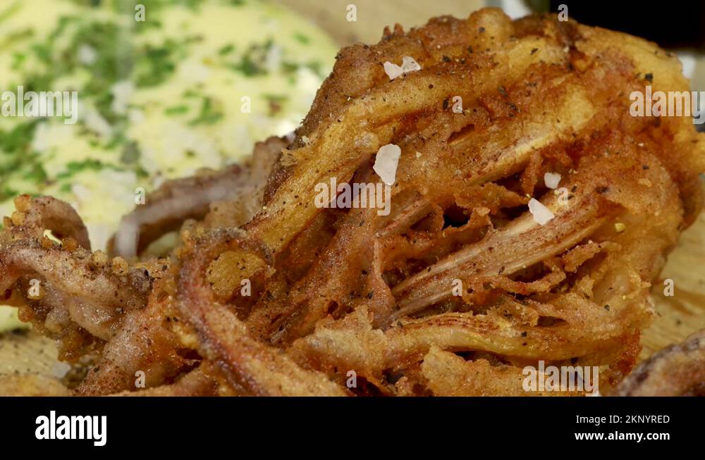 Fried tentacles of squid Stock Videos & Footage - HD and 4K Video Clips