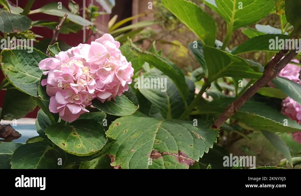 month-plan-stock-videos-footage-hd-and-4k-video-clips-alamy