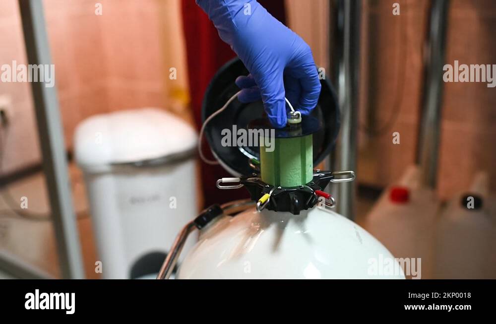 Dewar vessel with liquid nitrogen with frozen embryos and eggs in a