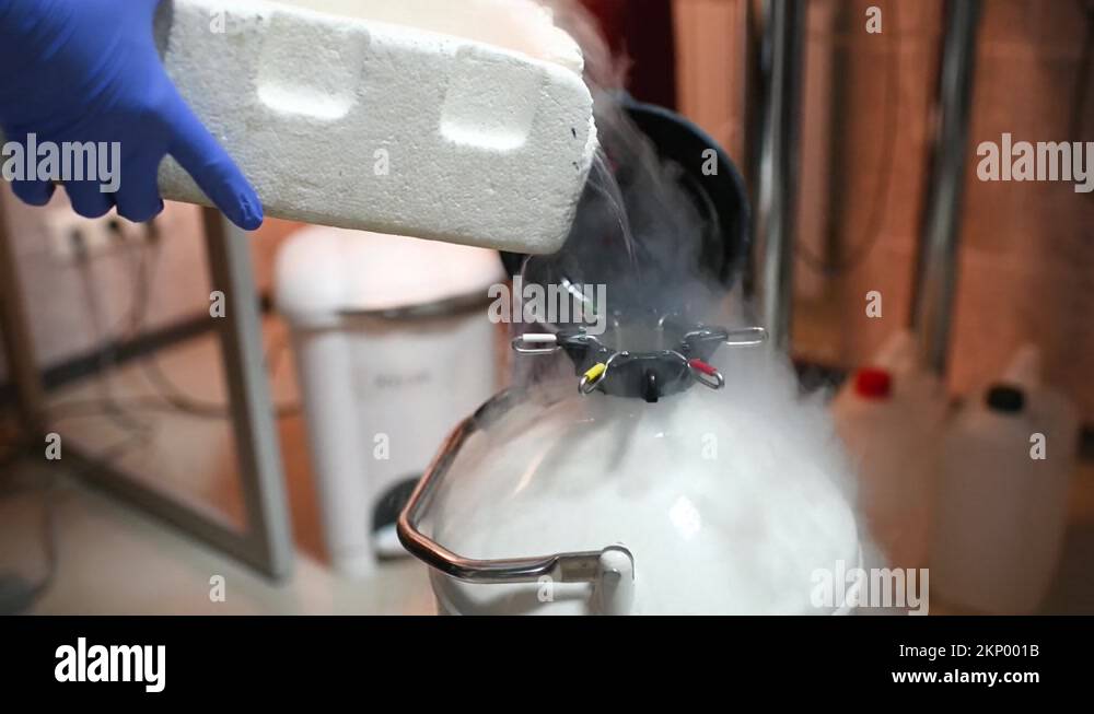 Dewar vessel with liquid nitrogen with frozen embryos and eggs in a