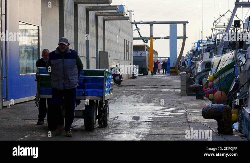 Transporting fish catch Stock Videos & Footage - HD and 4K Video Clips ...