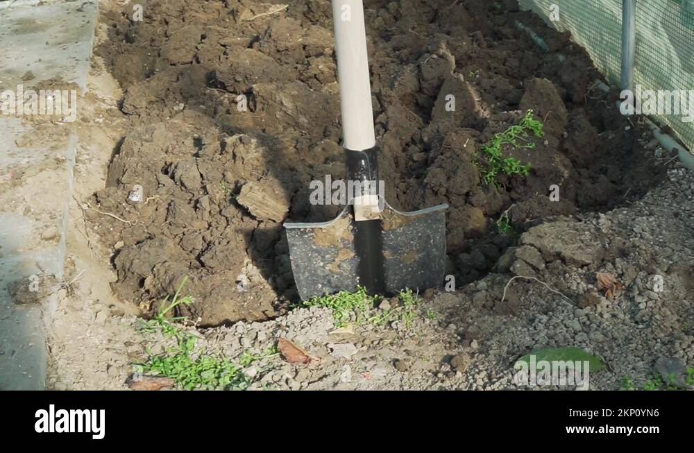 Spade stuck in soil Stock Videos & Footage - HD and 4K Video Clips - Alamy