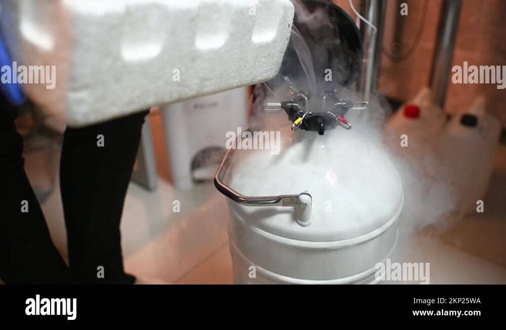 Dewar vessel with liquid nitrogen with frozen embryos and eggs in a