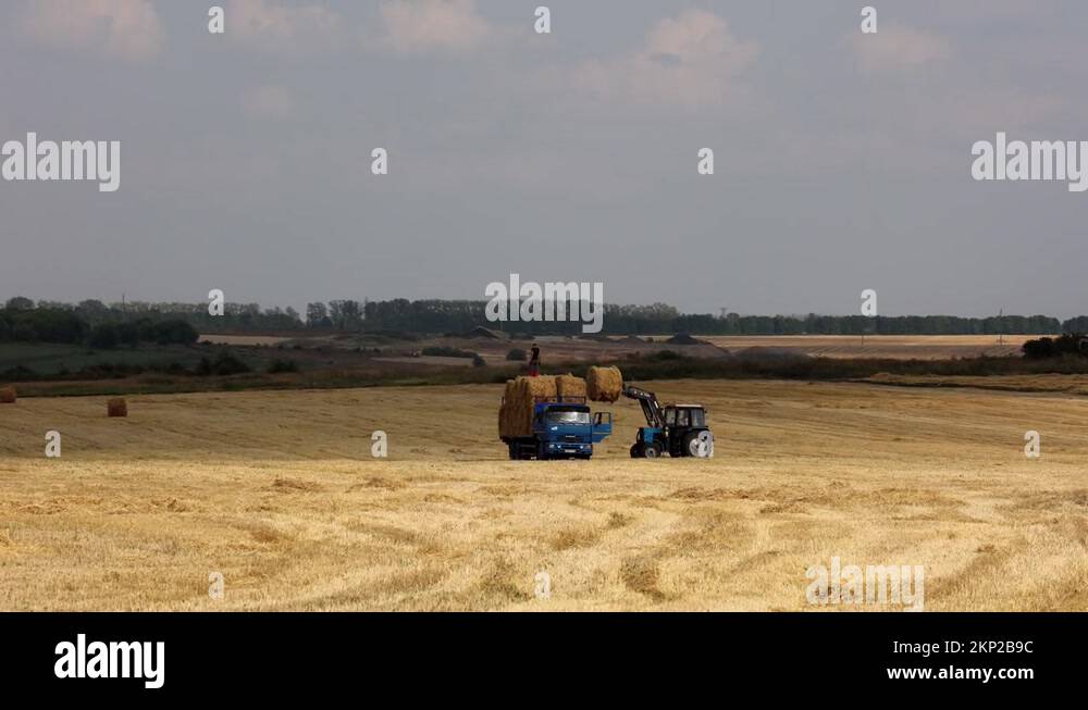 Hay loading Stock Videos & Footage - HD and 4K Video Clips - Alamy