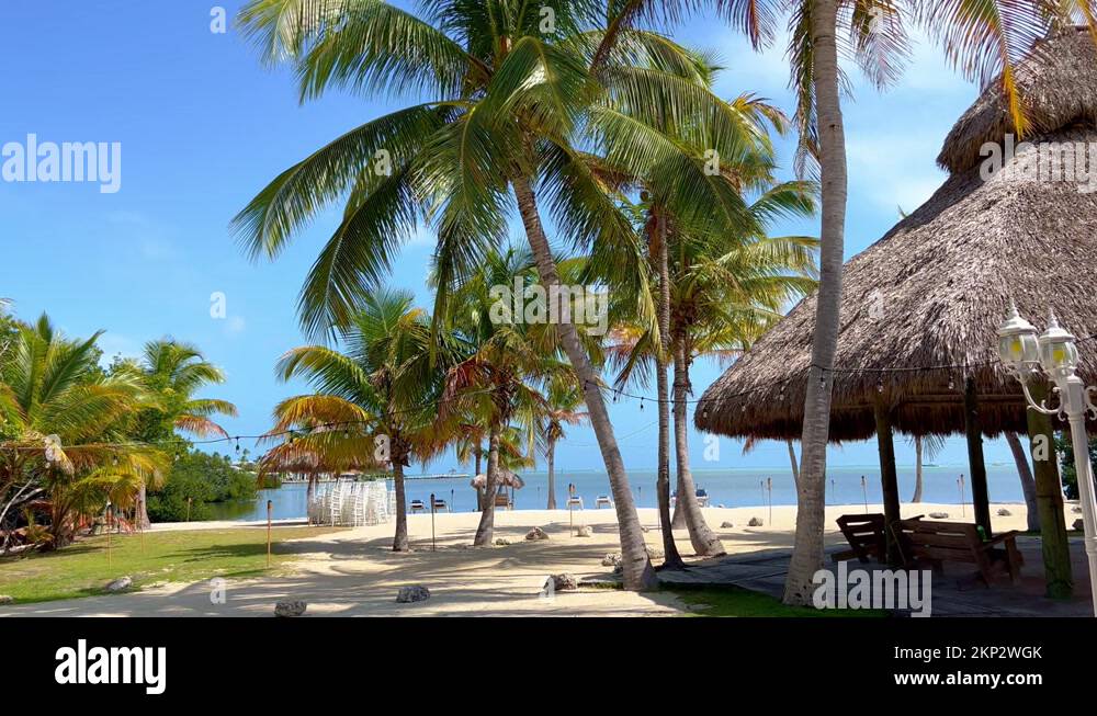 Beach islamorada florida Stock Videos & Footage HD and 4K Video Clips