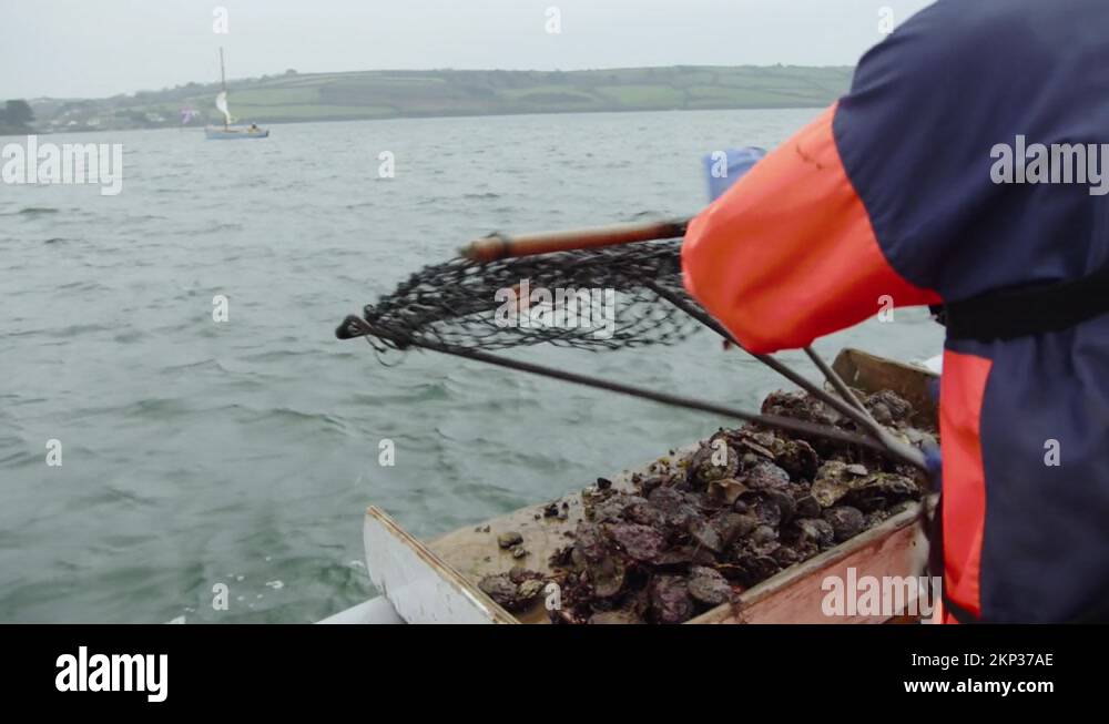 Throwing out the dredge from the boat Stock Video Footage Alamy