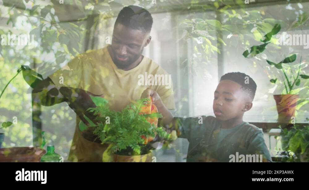 Animation of leaves over happy african american father and son watering ...
