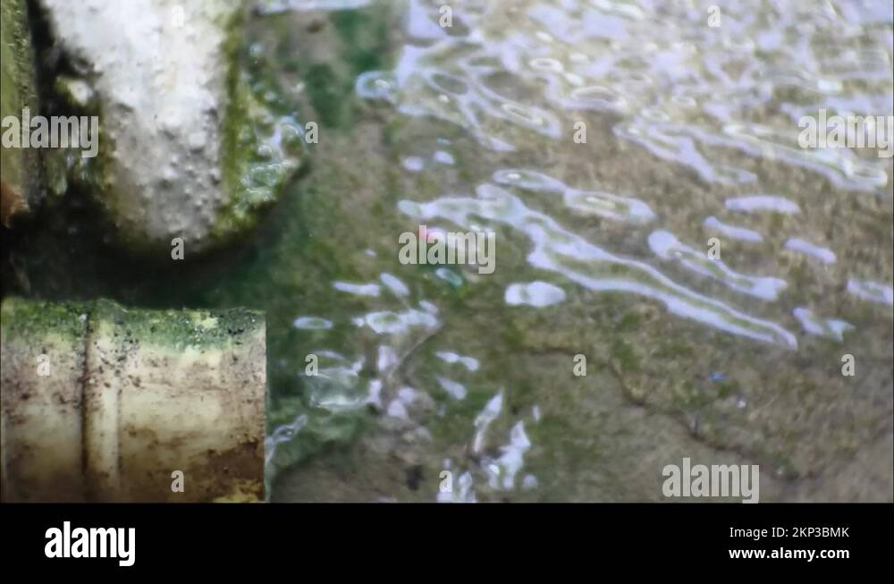 water coming out of washing machine drain pipe Stock Video Footage Alamy