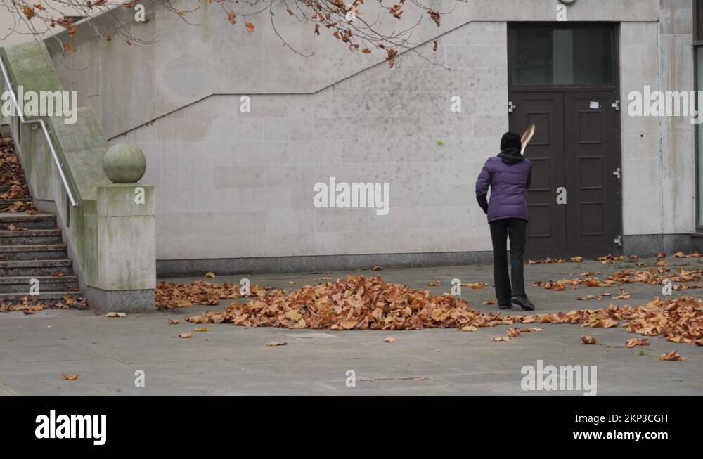 Racquetball Stock Videos & Footage HD and 4K Video Clips Alamy