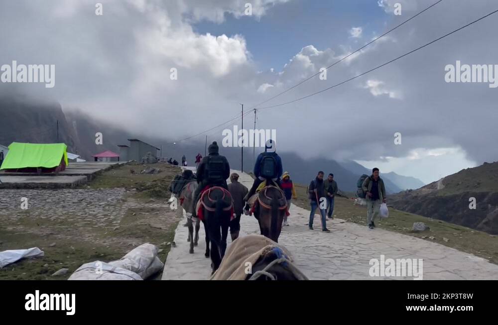 Pilgrims Riding On Mules And Walking During Pilgrimage To Kedarnath