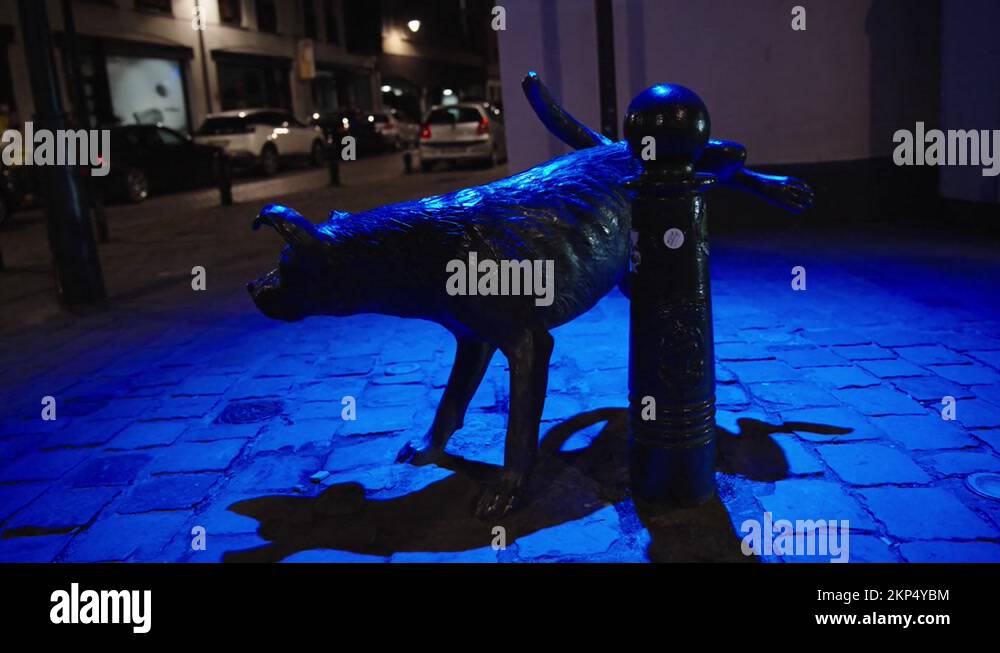 Bronze statue of dog peeing in the street at night. Belgian landmark in