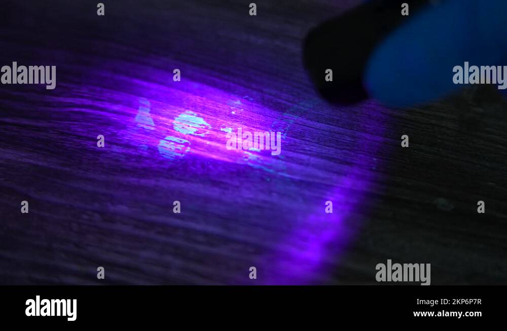 CSI Using UV Light To Detect Hidden Blood Traces, Murder 4K Stock Video