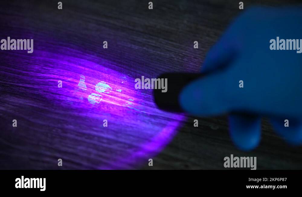 CSI Using UV Light To Detect Hidden Blood Traces, Murder 4K Stock Video