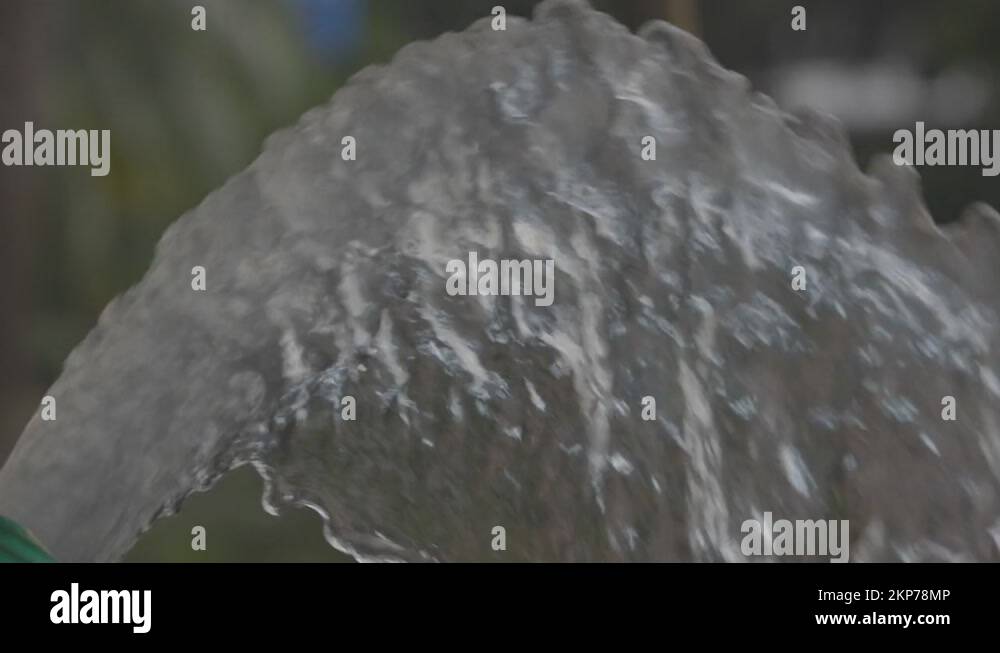 Water flows from the hose. A stream of clean water from a garden hose