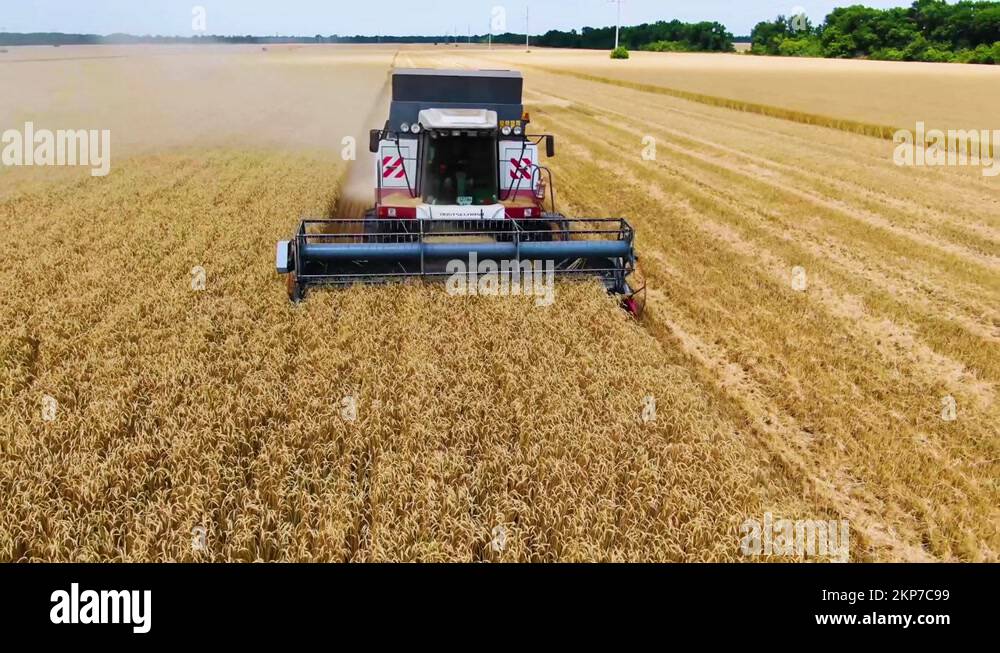 Farming In Ukraine Ukraine agriculture Stock Videos & Footage - HD and 4K Video Clips - Alamy