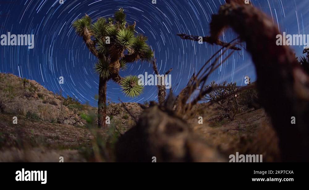 Joshua Tree Desert Night Sky Star Trails Timelapse 4K Stock Video ...