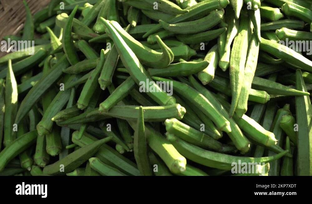 Ladyfinger Stock Videos & Footage HD and 4K Video Clips Alamy