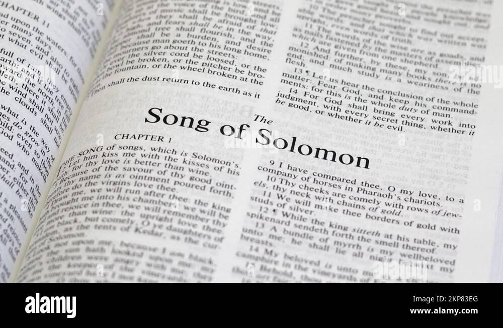 Solomon bible Stock Videos & Footage HD and 4K Video Clips Alamy