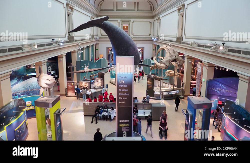 Smithsonian museum architecture Stock Videos & Footage - HD and 4K