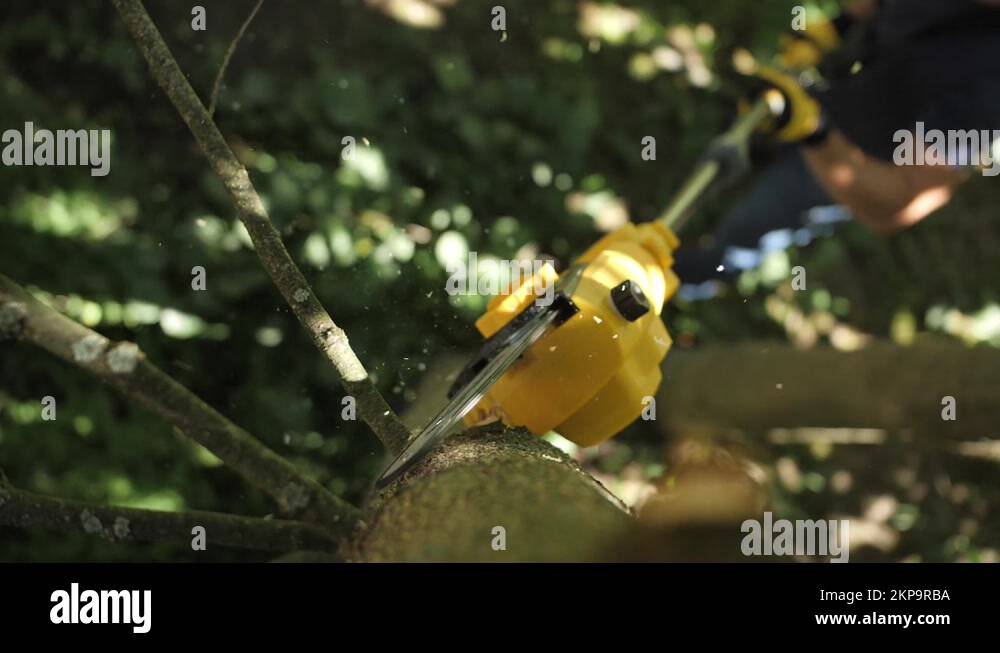 A man saws off a branch on a tree with an electric saw. Slow motion