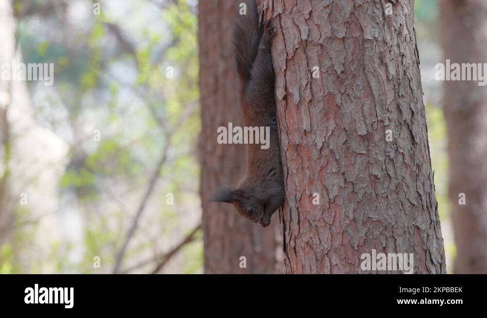 Hang side by side in series Stock Videos & Footage HD and 4K Video