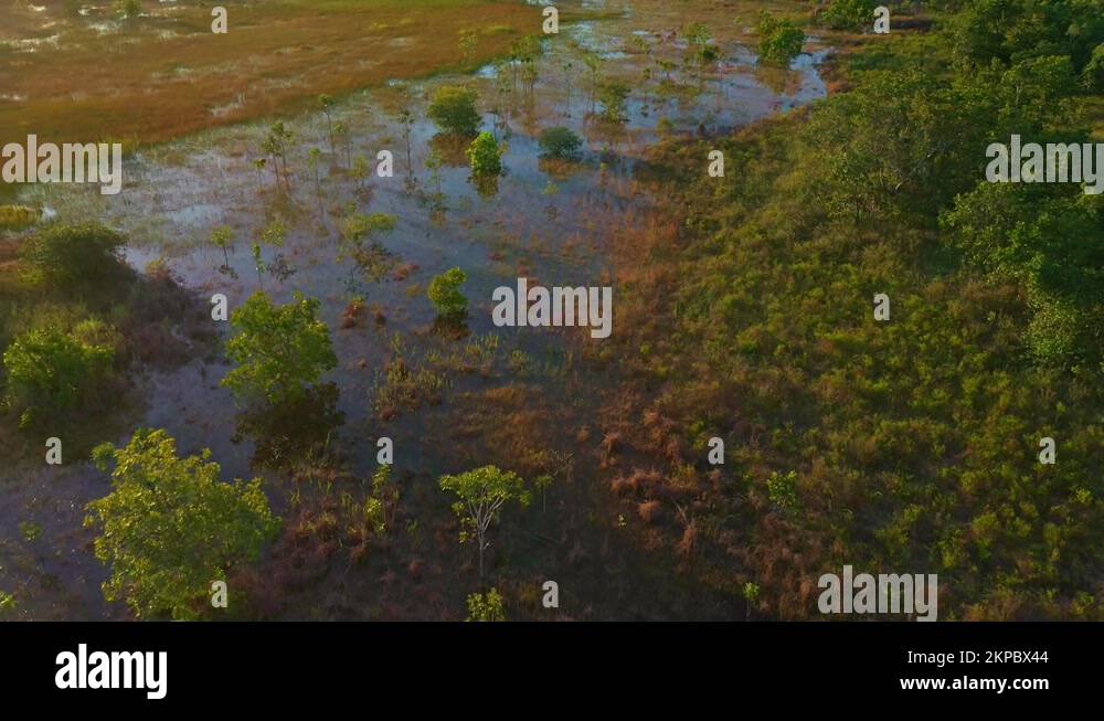 Water Runoff Erosion Stock Videos Footage Hd And 4k Video Clips Alamy Water Runoff Erosion Stock Videos Footage Hd And 4k Video Clips Alamy