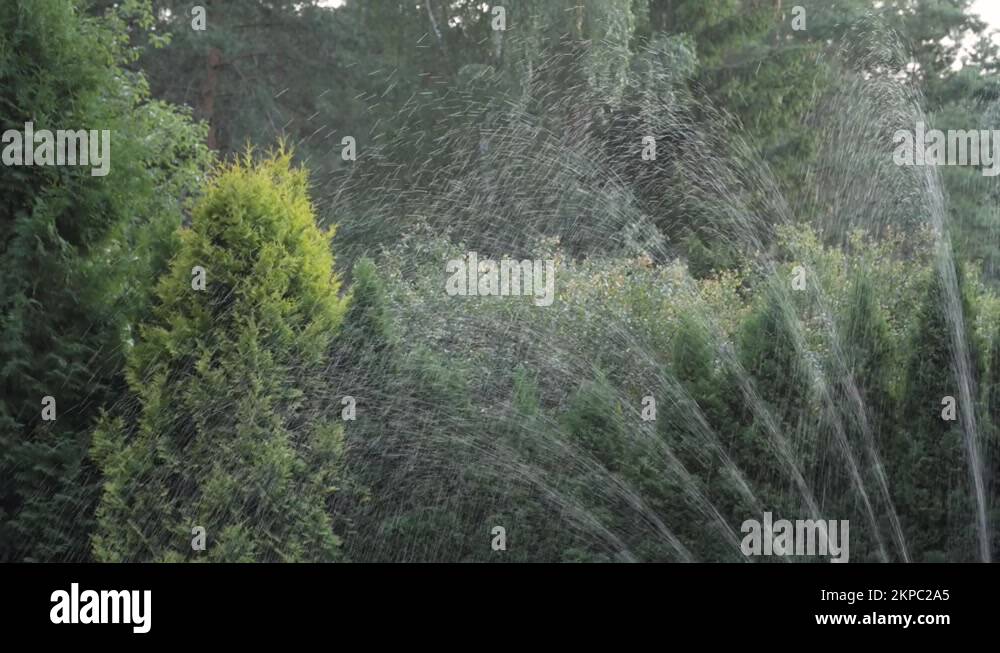 Lawn cascade Stock Videos & Footage HD and 4K Video Clips Alamy