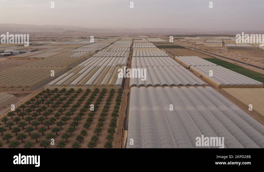 Desert farming in negev israel Stock Videos & Footage HD and 4K Video