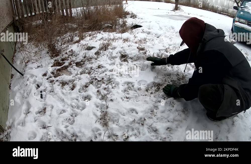 Dig dug out out dig digging Stock Videos & Footage - HD and 4K Video