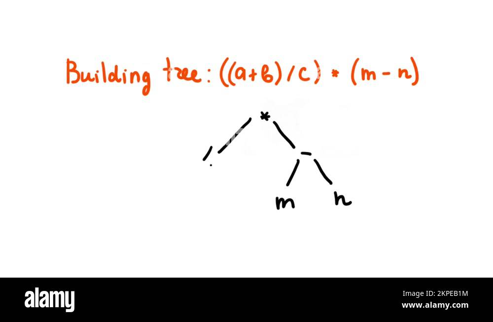 Numbered trees Stock Videos & Footage HD and 4K Video Clips Alamy