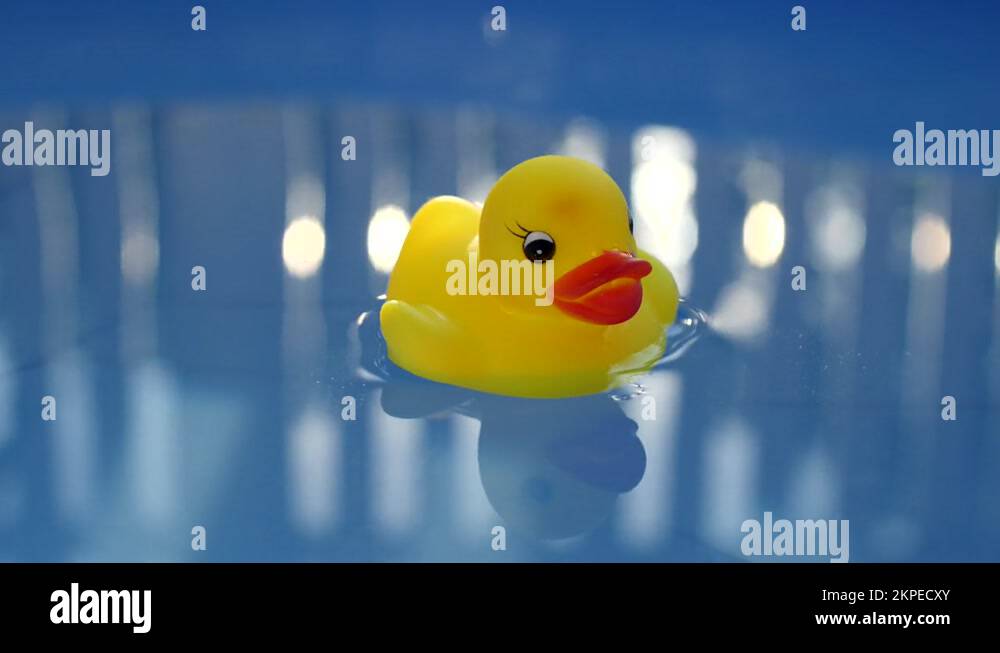 Rubber duck in swimming pool, Summer conceptual background Stock Video