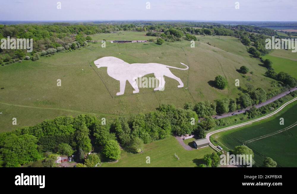 Chalk lion dunstable Stock Videos & Footage HD and 4K Video Clips Alamy