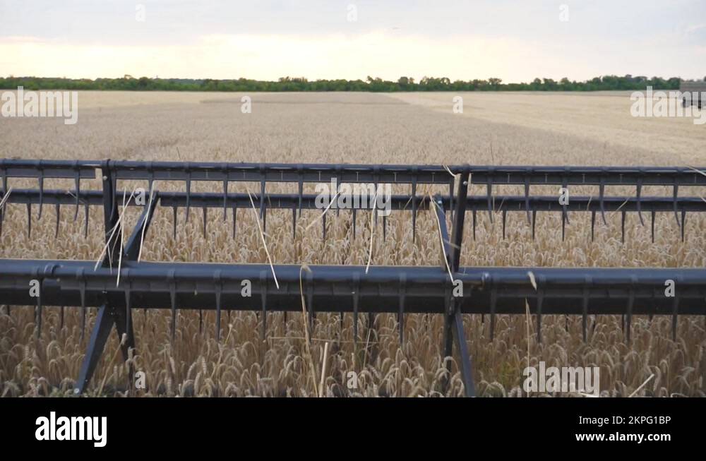 Combine harvester cutting blades Stock Videos & Footage HD and 4K