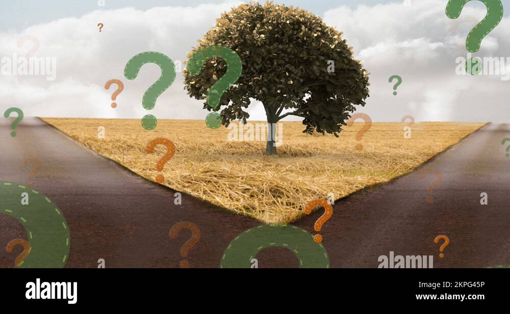 Question mark tree Stock Videos & Footage - HD and 4K Video Clips - Alamy